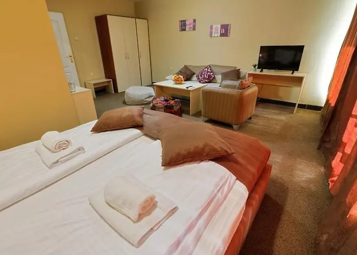 招待所 The White House 普罗夫迪夫