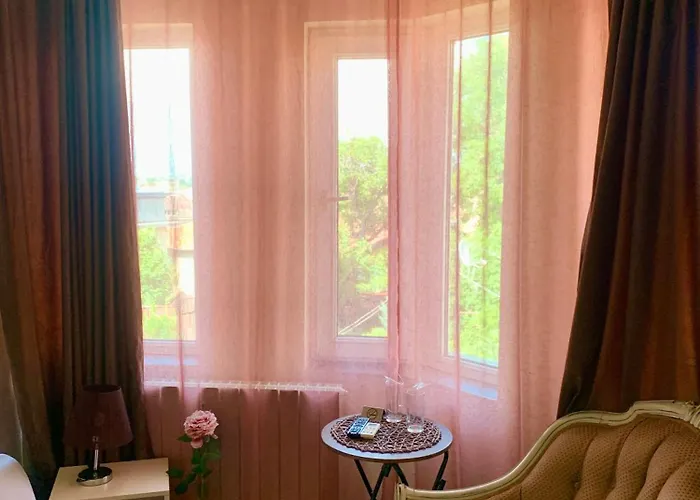 招待所 The White House